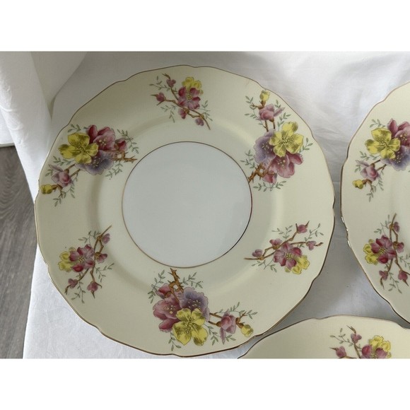 3 Apple Blossom (Cream Background) by BLACK KNIGHT Dinner Plate Made in Germany - Picture 3 of 9